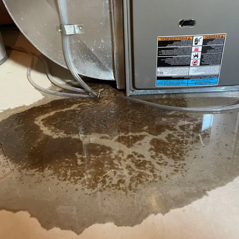 Pipe Burst and Leak Restoration in Middlesex County, CT